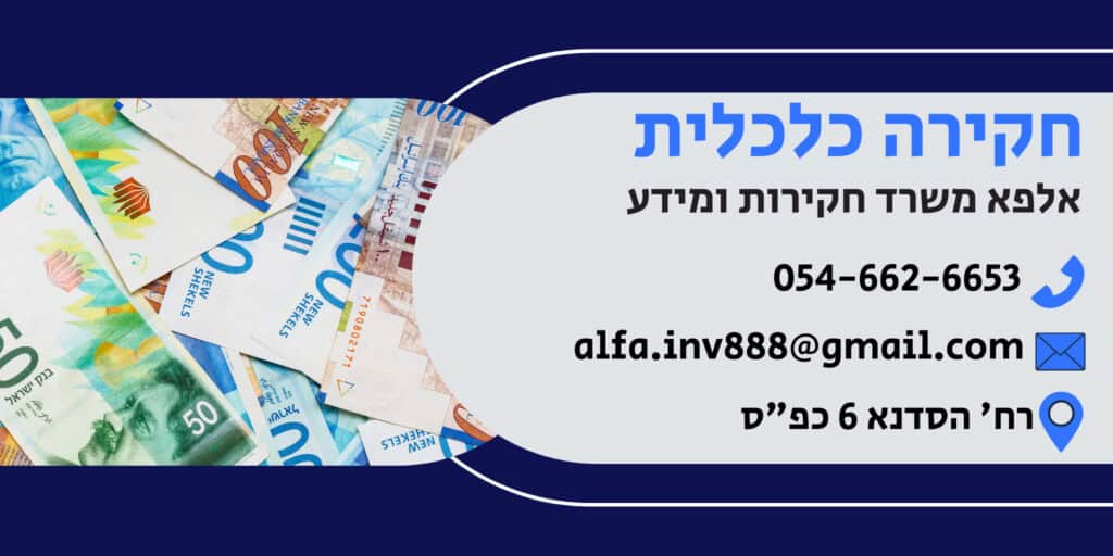 חקירה כלכלית